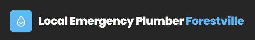 Local Emergency Plumber Forestville